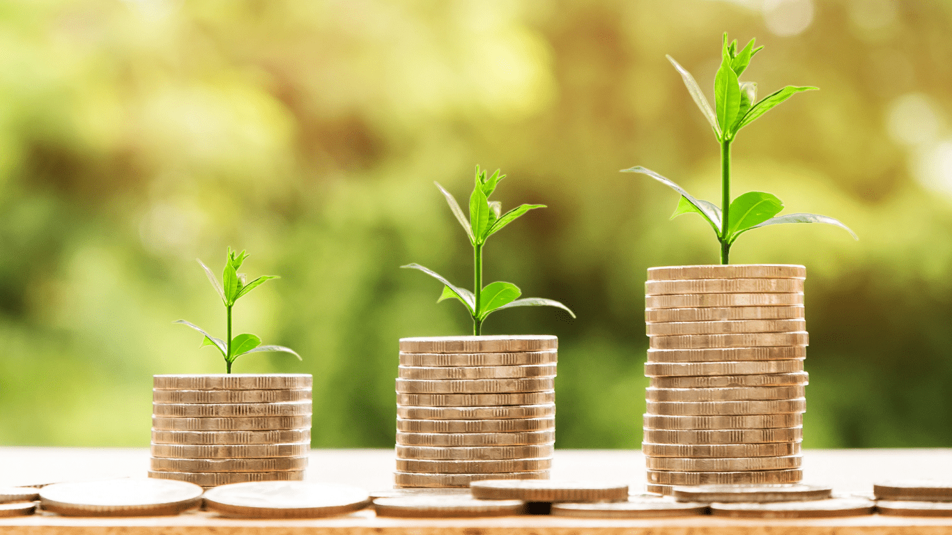 Investment Analysis & Portfolio Advisory
